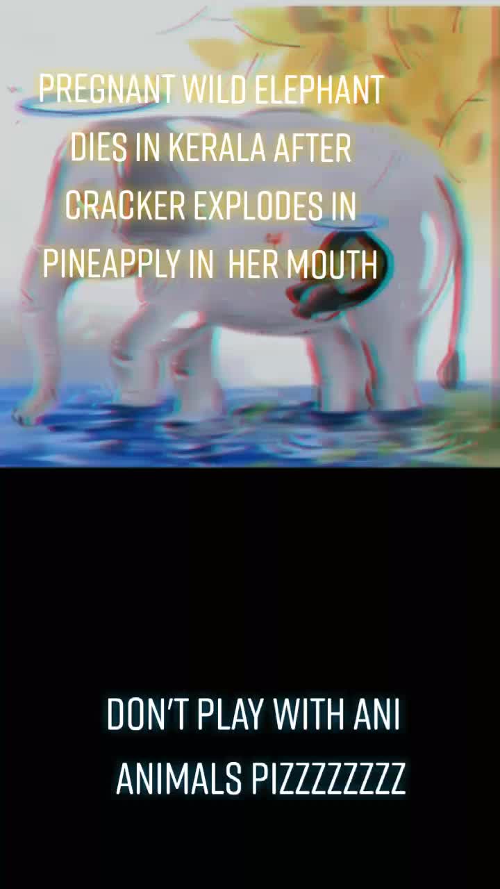 @charanlvrboy