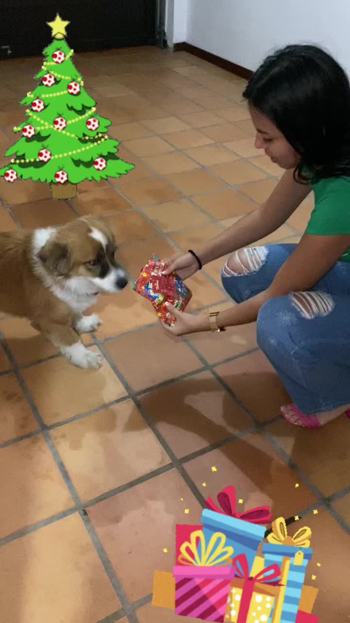@SAM 🐾🦴