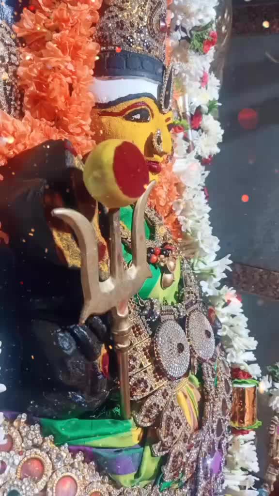 @Temple007