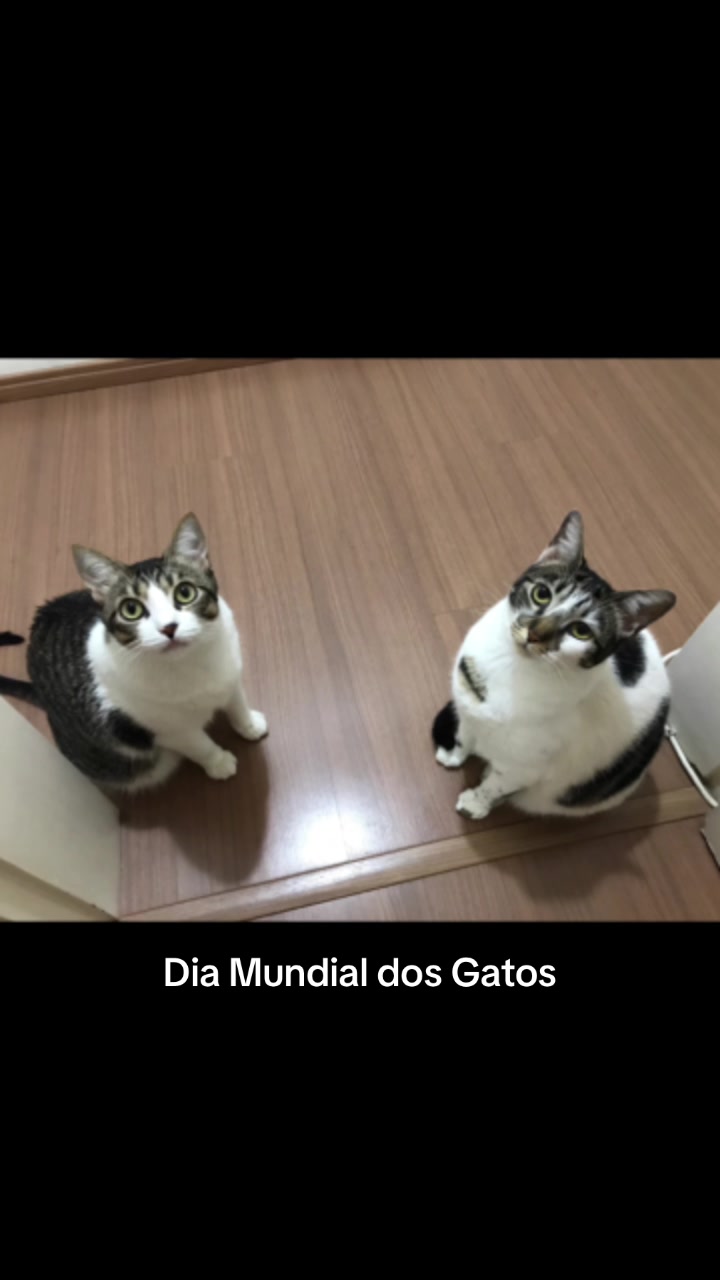 @Lua Maria & Bella Aparecida