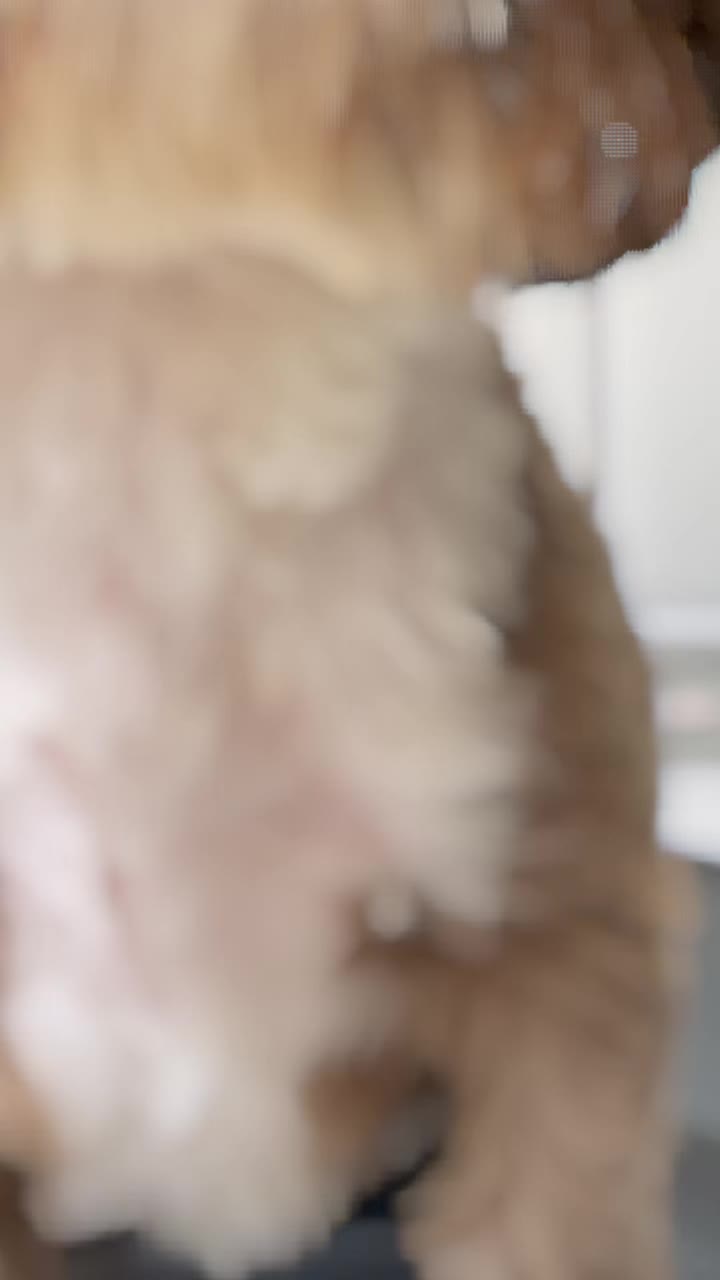 @user78974546690