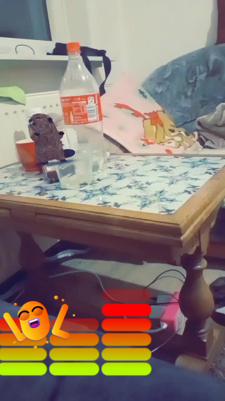 @๐ง๐พ๐ฃ๐๐๐ฅ๐๐ค๐ฅ ๐ธ๐ฃ๐ฅ ๐ง