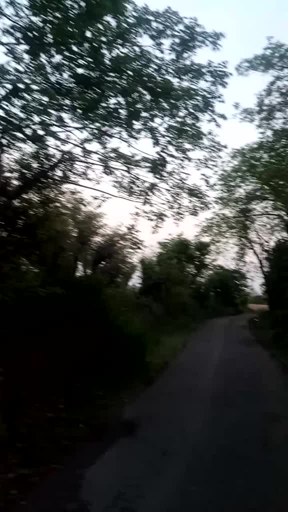 @rinkusharma1988
