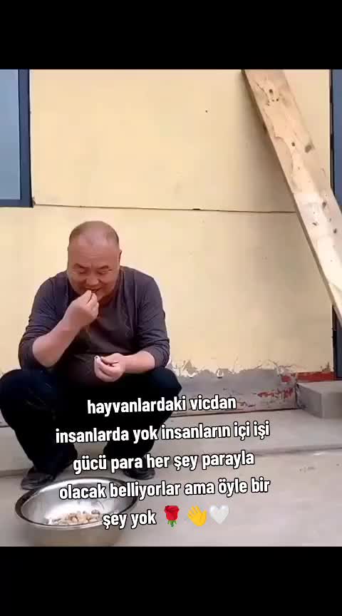 @Doğan 3851🪬🪽🪽♻️🇹🇷🐺🔥