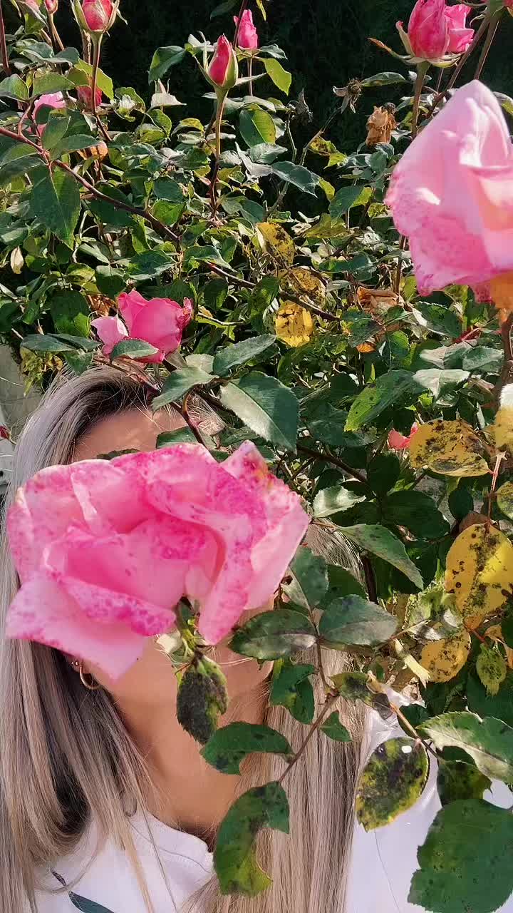 @VirginieBps