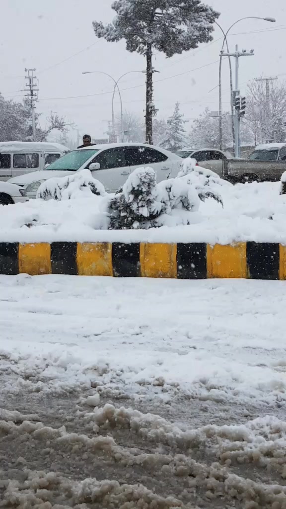@Mir AMIR🦅