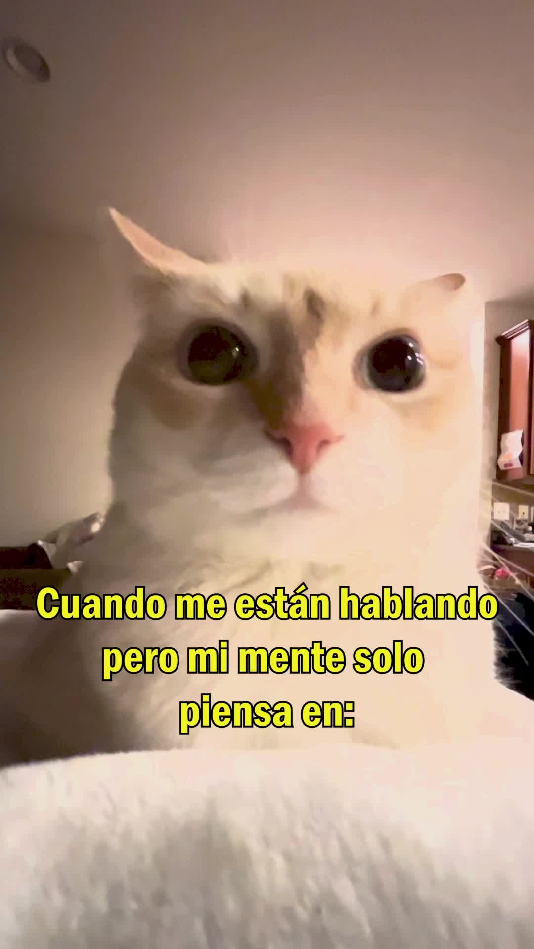 @Xris_86