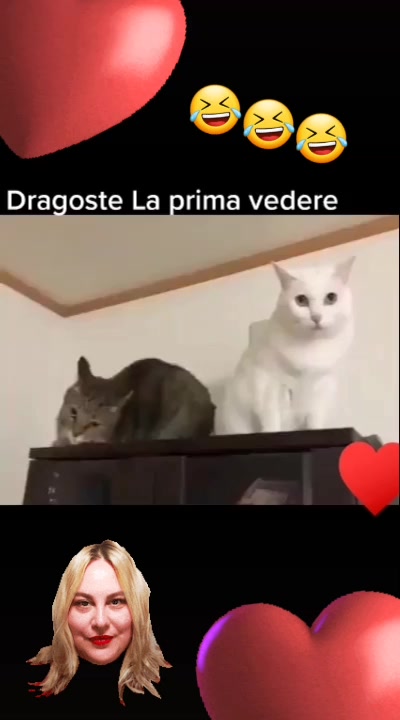 @Dau fallow &icirc;napoi
