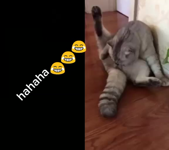 @shot10