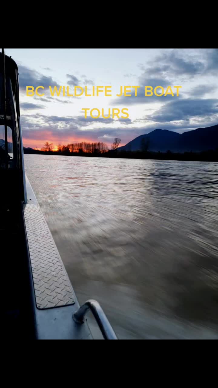 @BC WILDLIFE JETBOAT TOURS