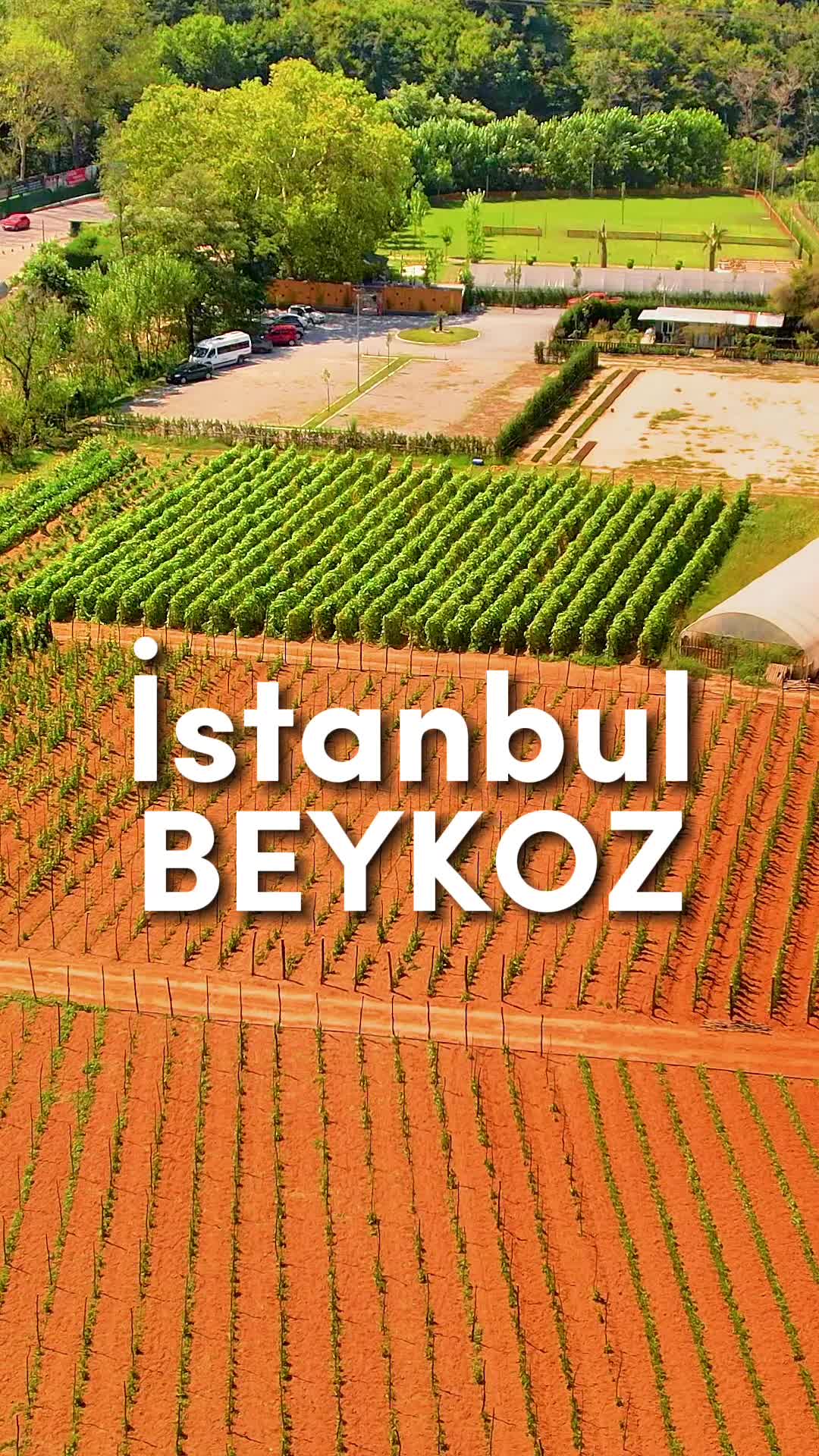 @YEŞİL NESİL