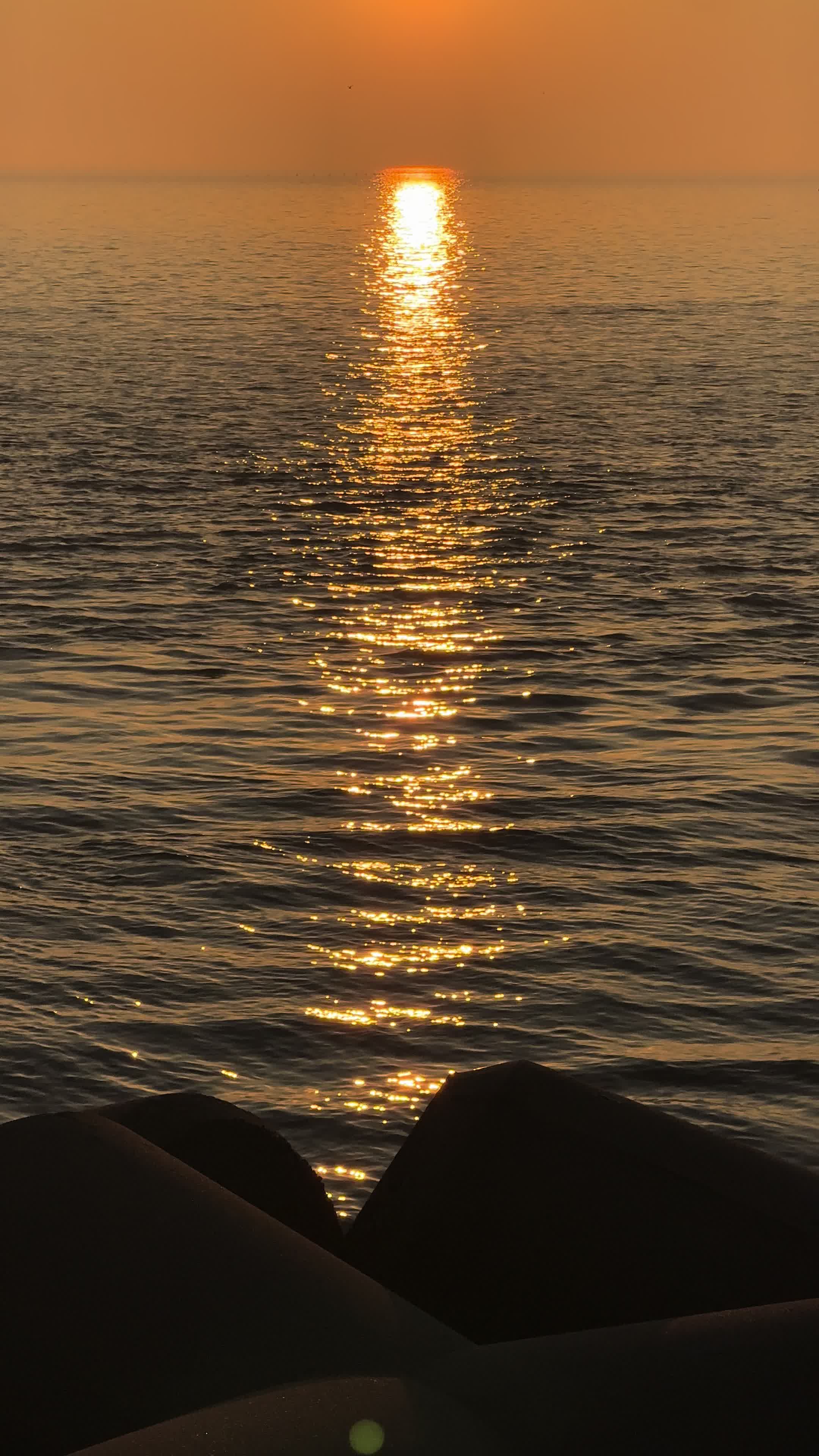 @간장게장