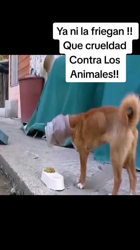 @Wawa Ramirez755