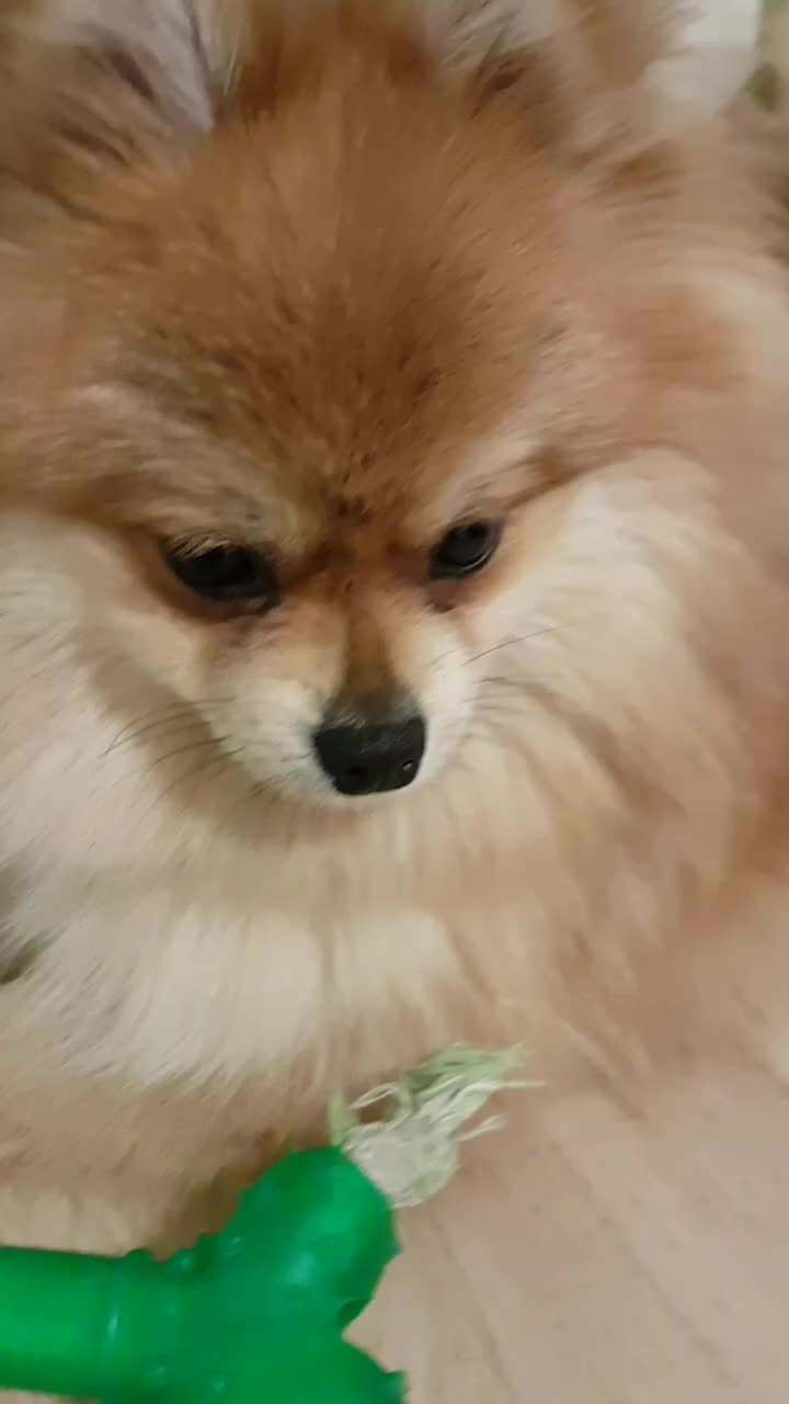 @r_e_n_a_t_e1