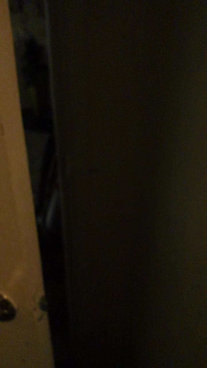 @plushgamingchannel