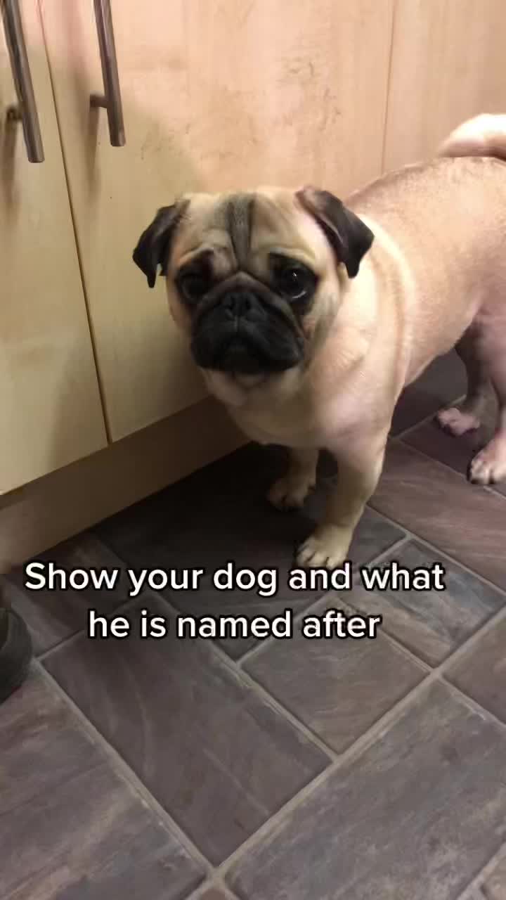 @Winston