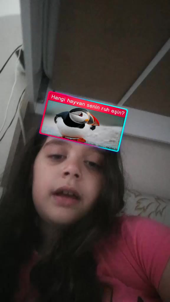 @bulbulgokhan757