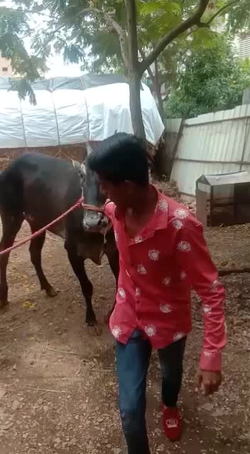@👑 सोन्या पानसरे 👑