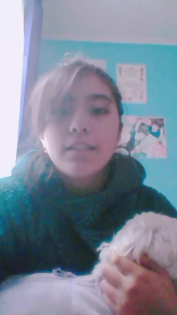 @amlison