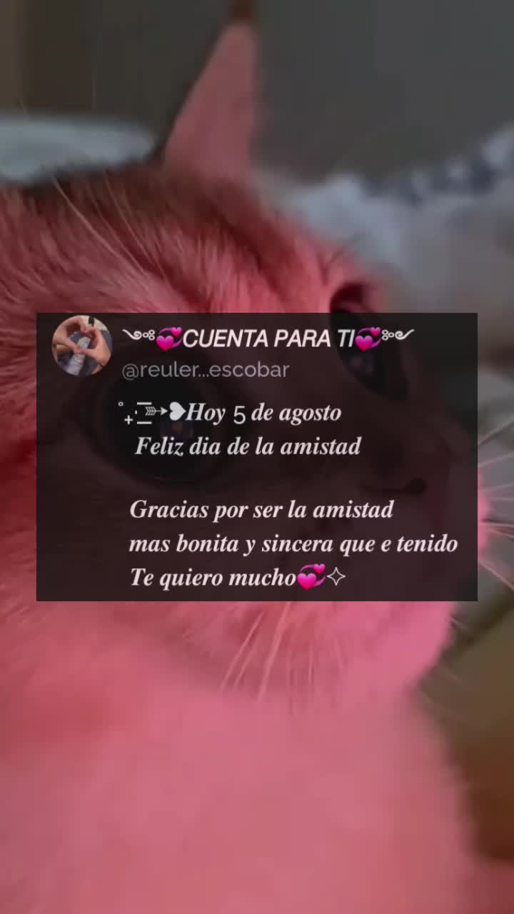 @óbito-R6