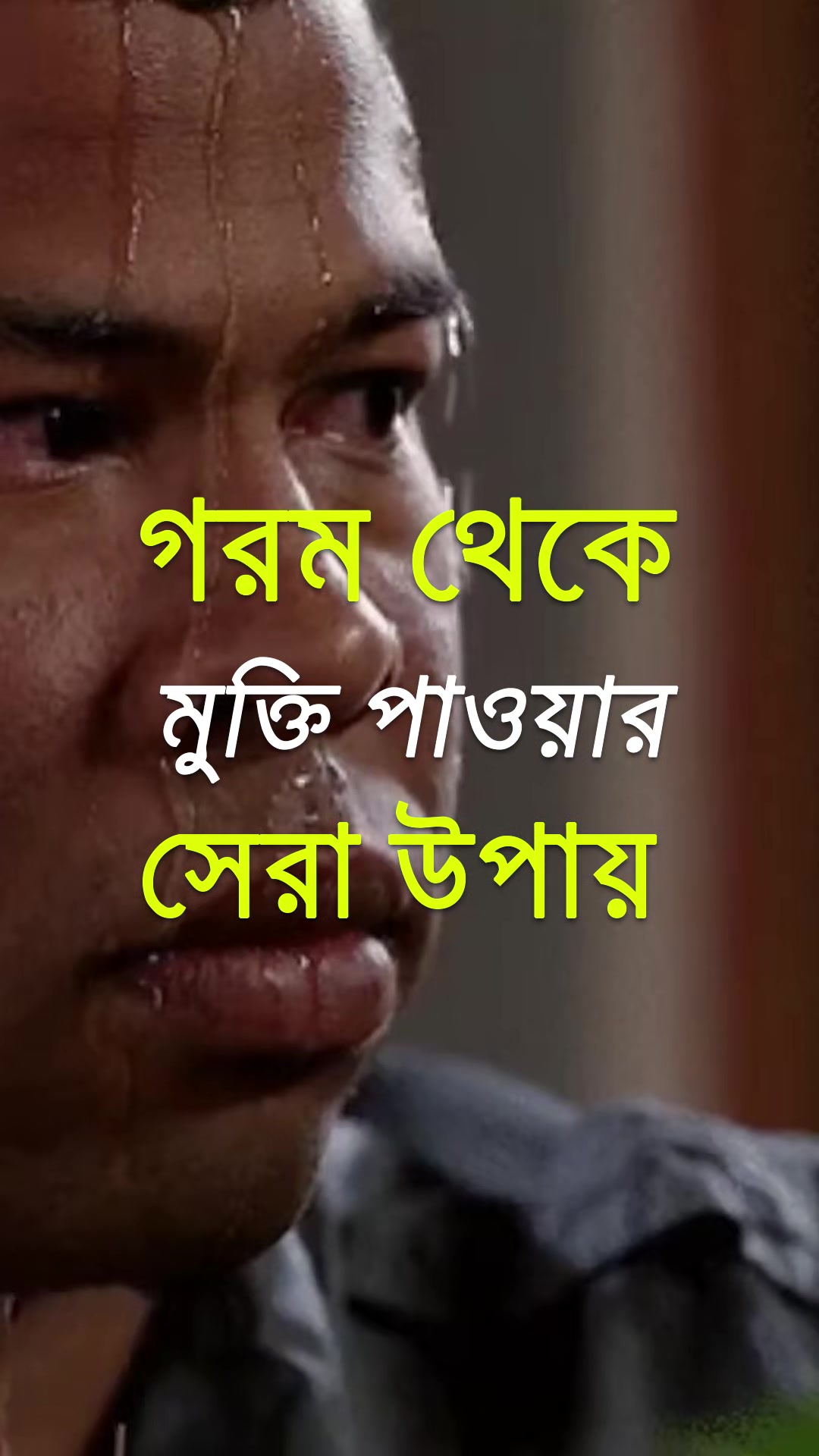 @Fazle Elahi Fayek
