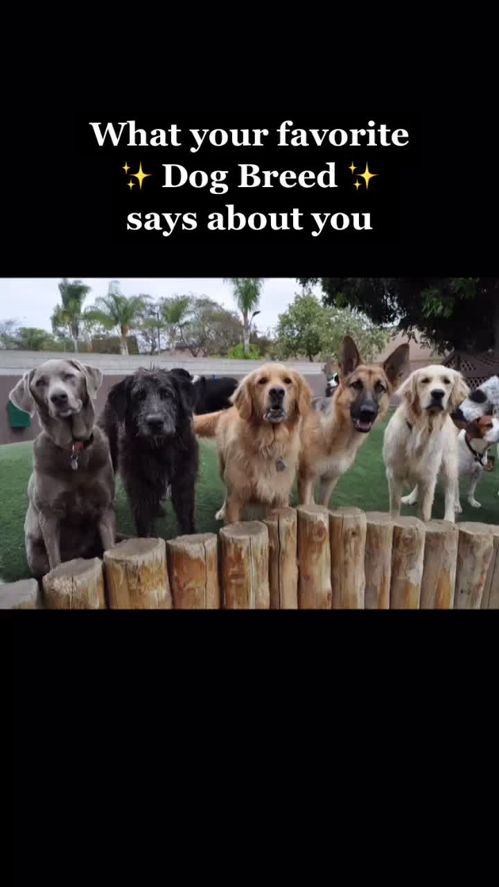 @Kasper
