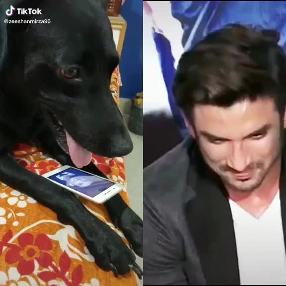 @kushal kashyap