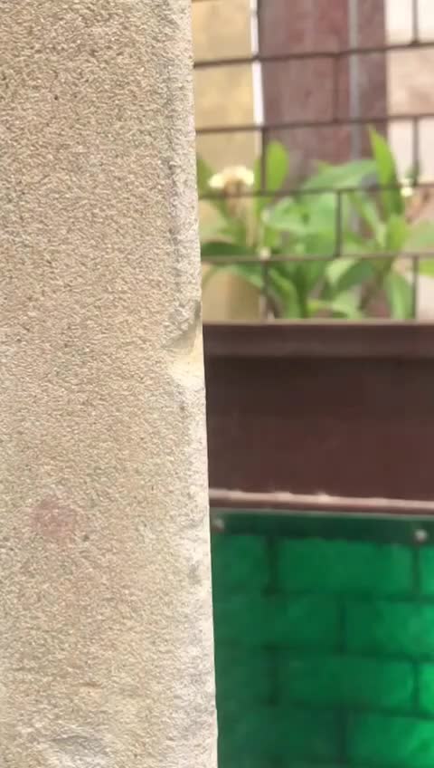 @_$ÎMMŪ_