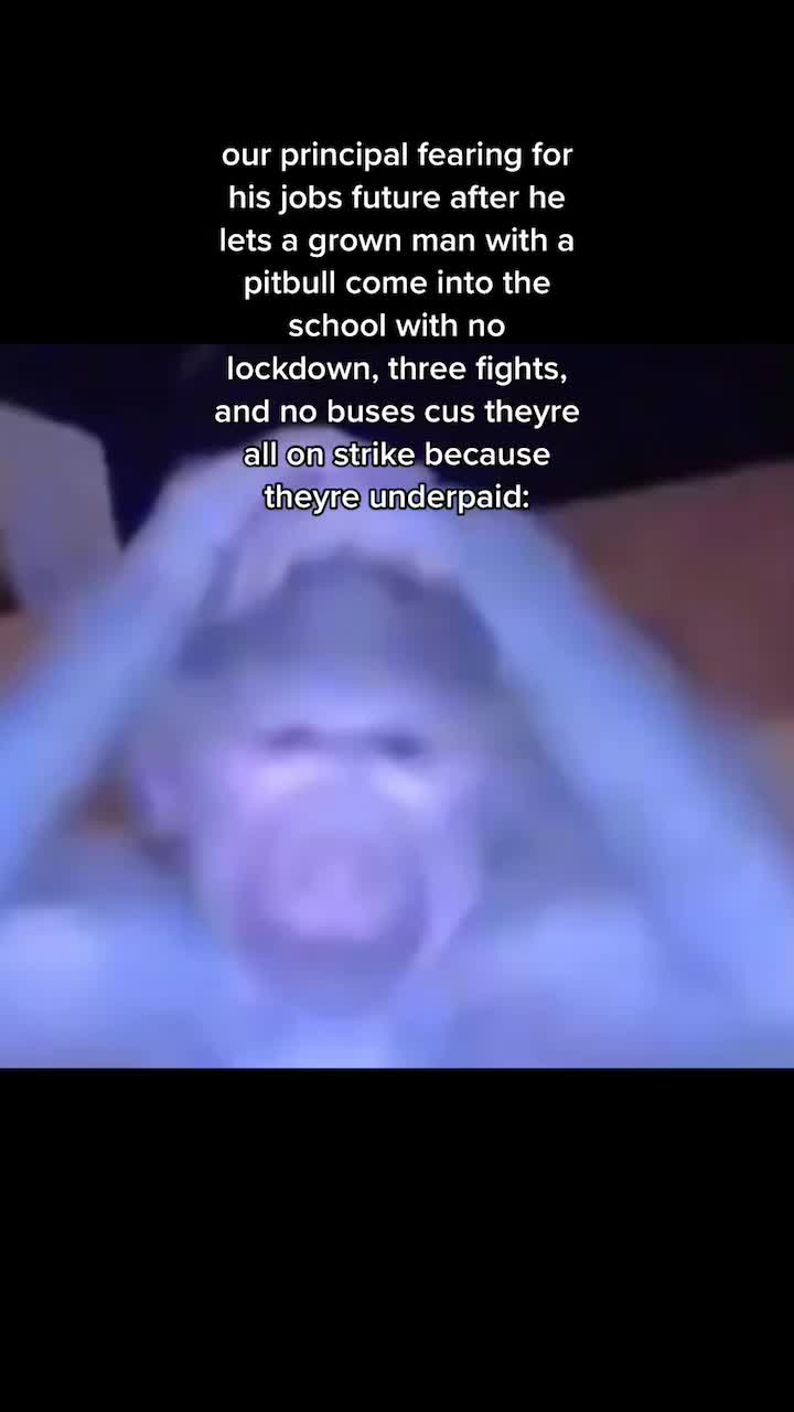 @🙀