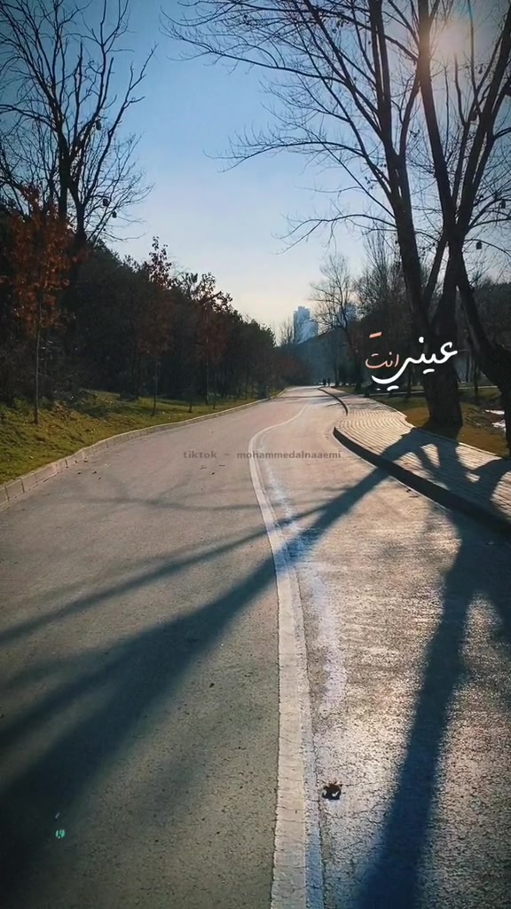 @Mohammed ALnuaimi