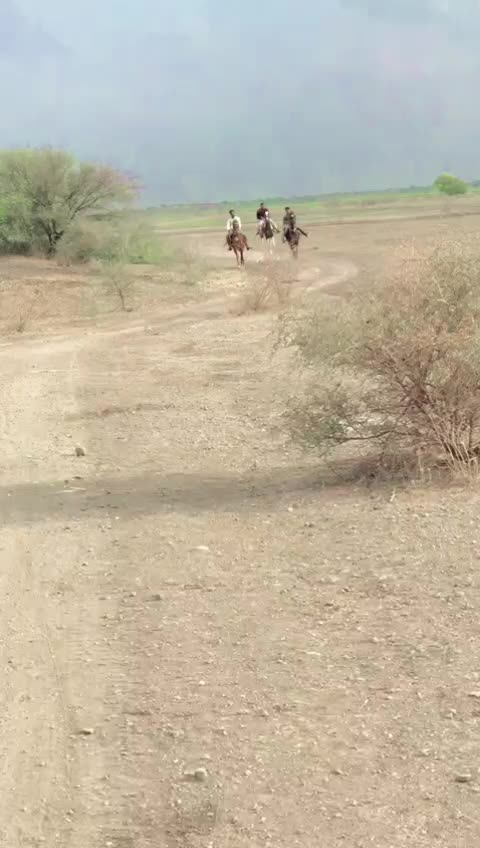 @jayrajsinh_7007