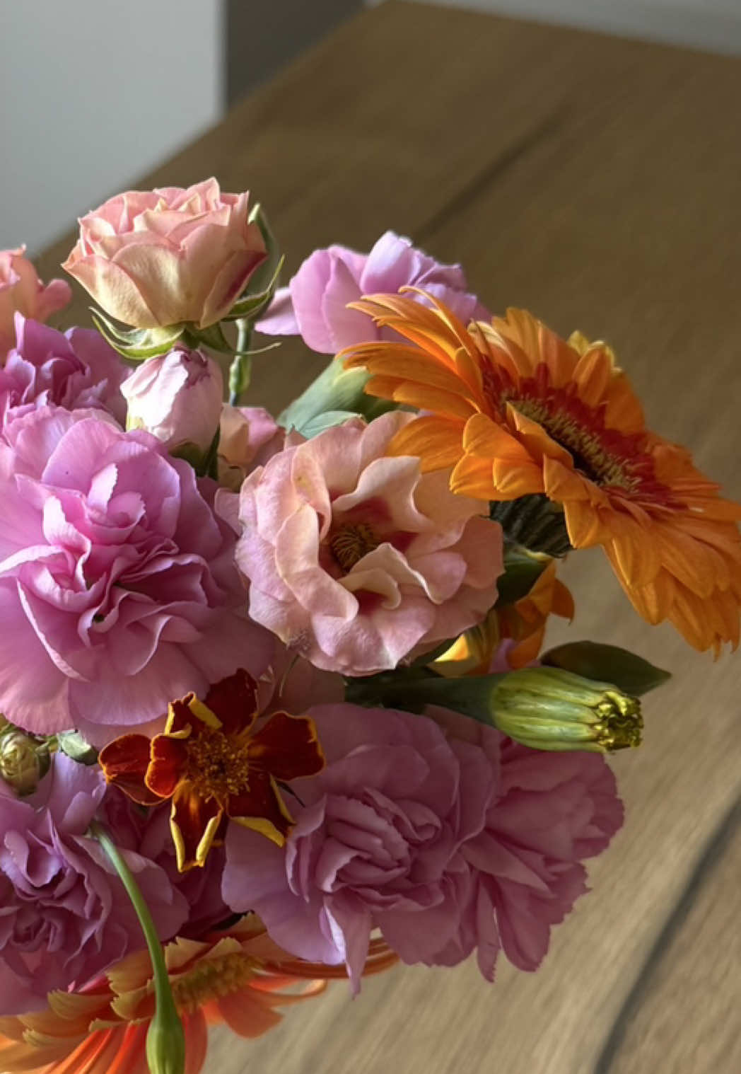@Margaux 🌸 écolo mais pas que