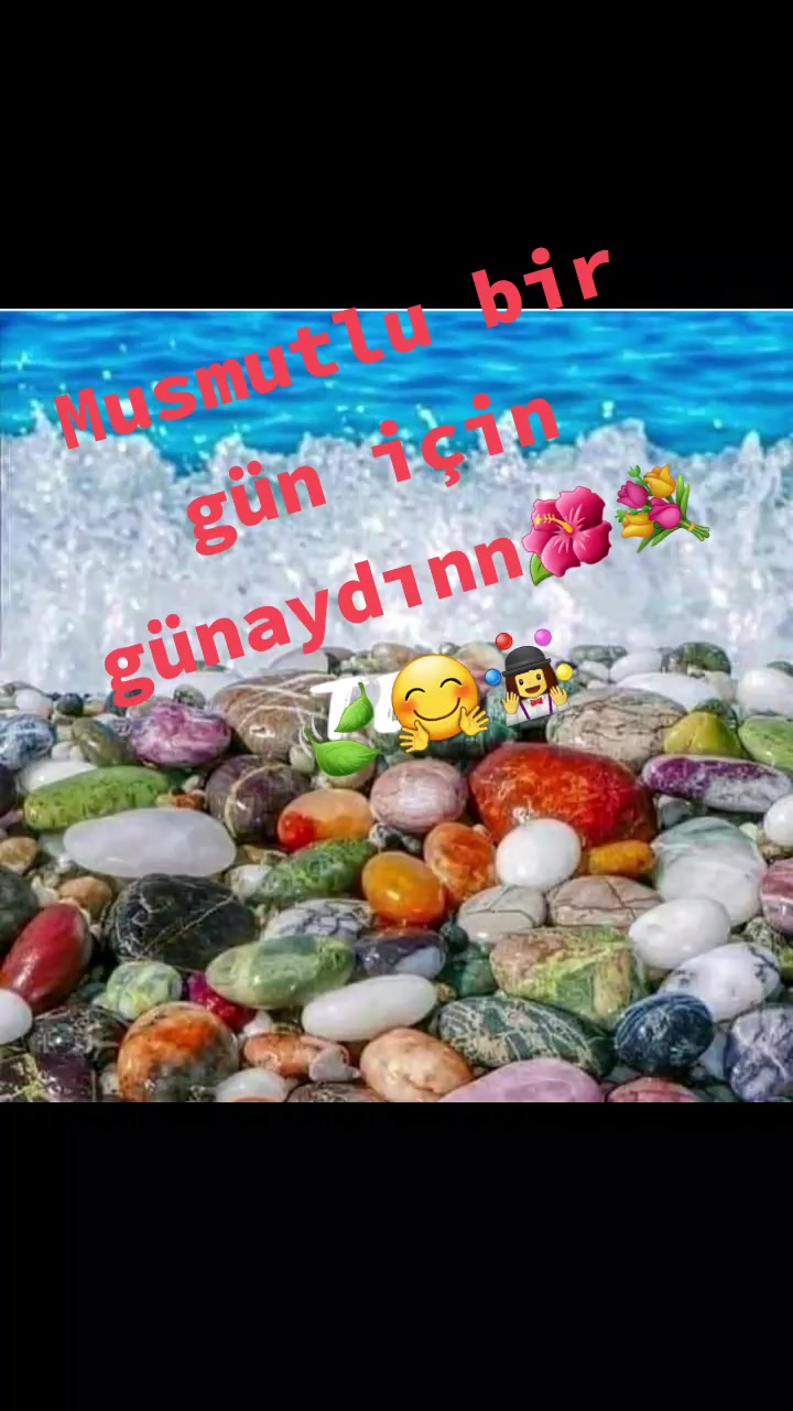 @fundaarducoglu45