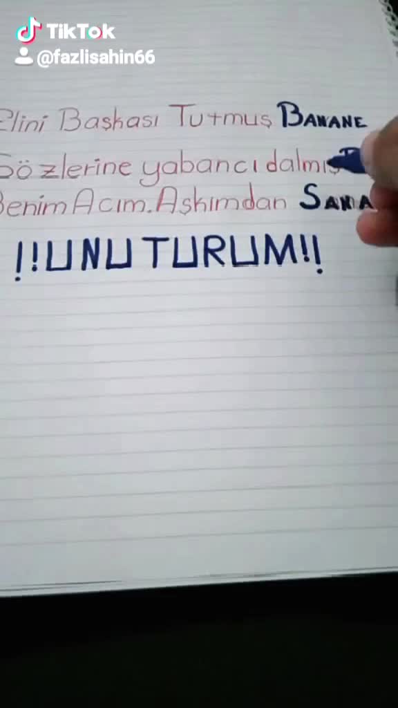 @fazlisahin66