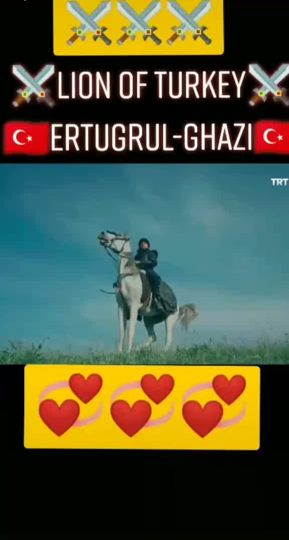 @user79165528957
