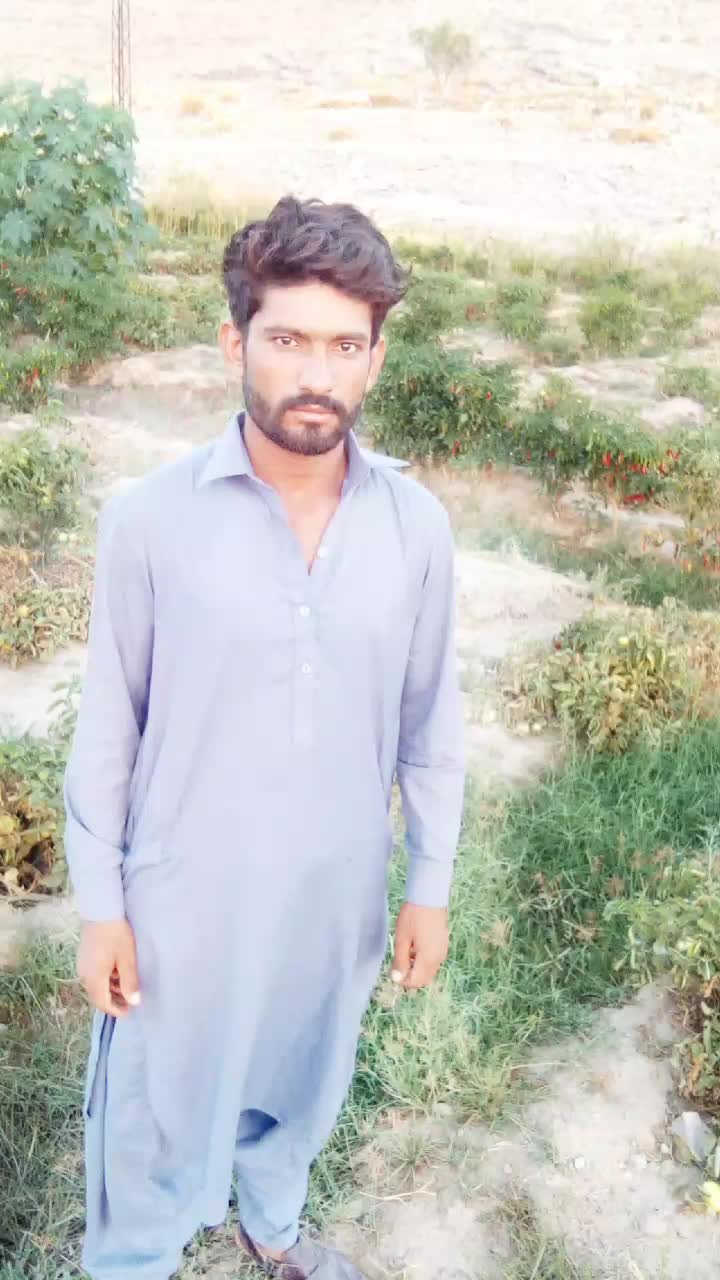 @nehalkhan25277