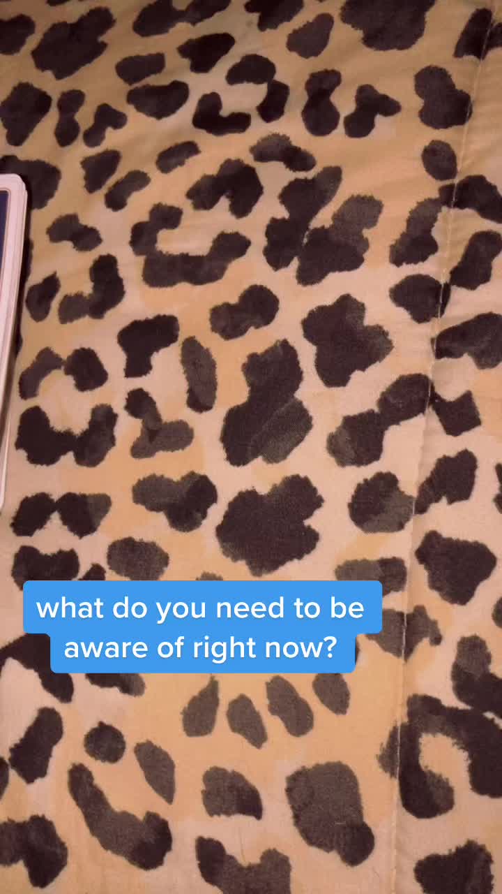 @Taylor K.