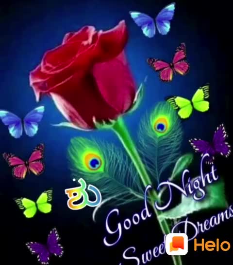 @manju hn
