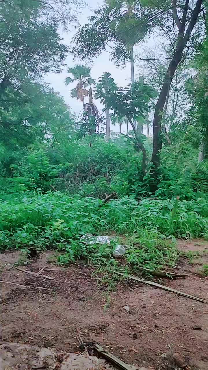 @Lucky gadu