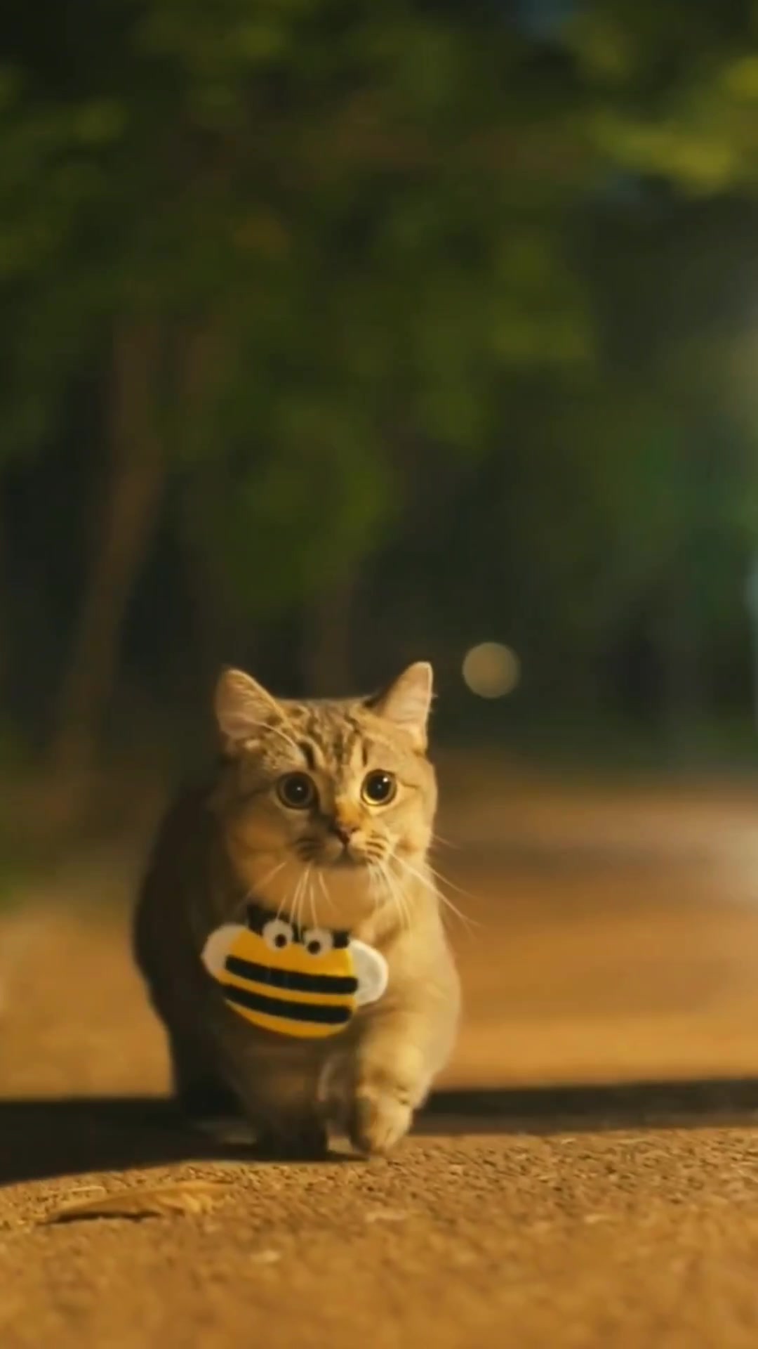 @ourpetsfriends