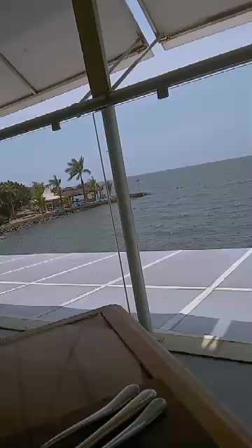@Prizoo