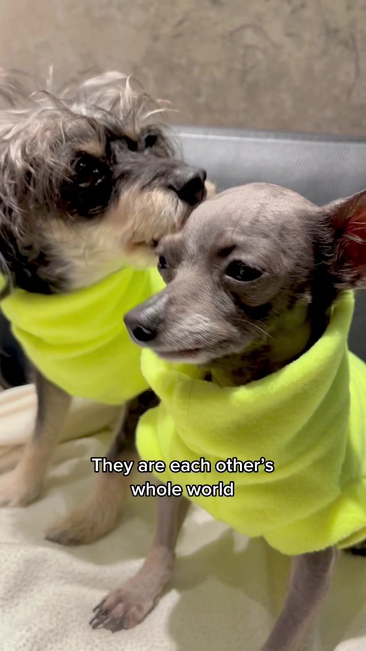 @Betty & Bean