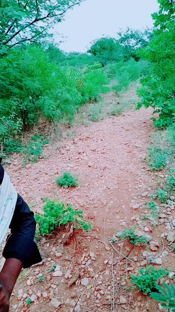 @சின்னப்பூவன்  பூ  வி