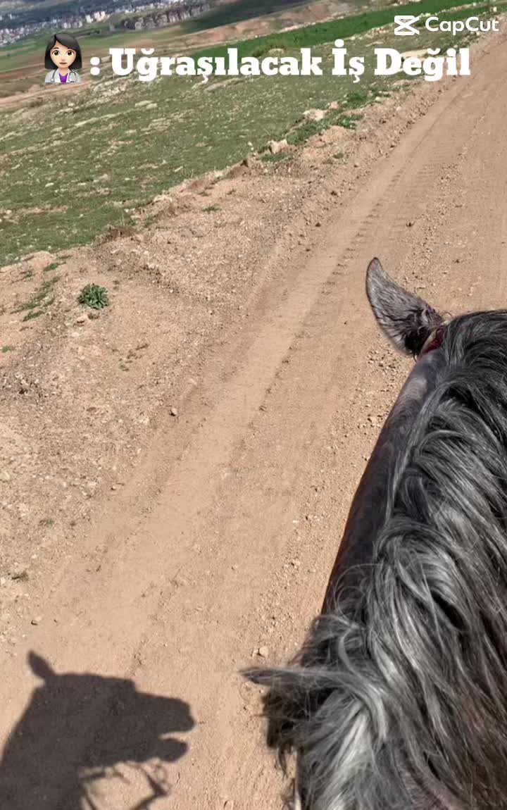@Yusuf güler