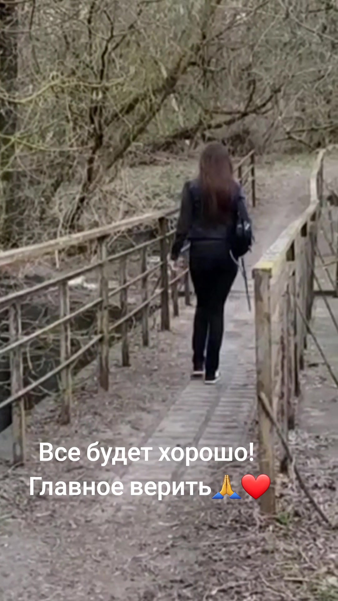@Alla lioness🦊