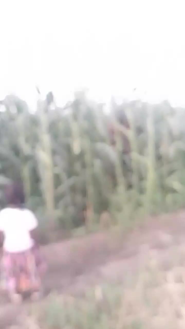 @user565810775125