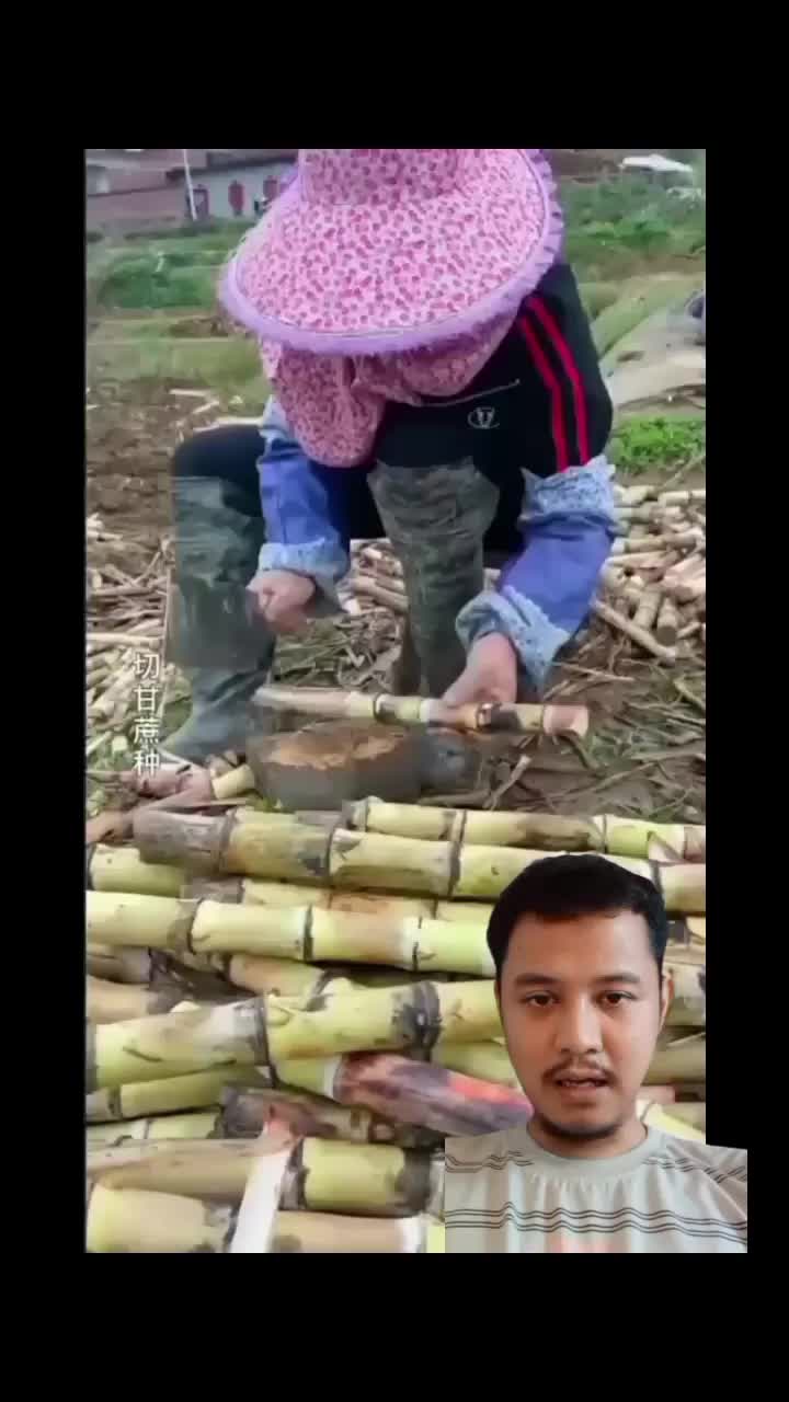 @P A N