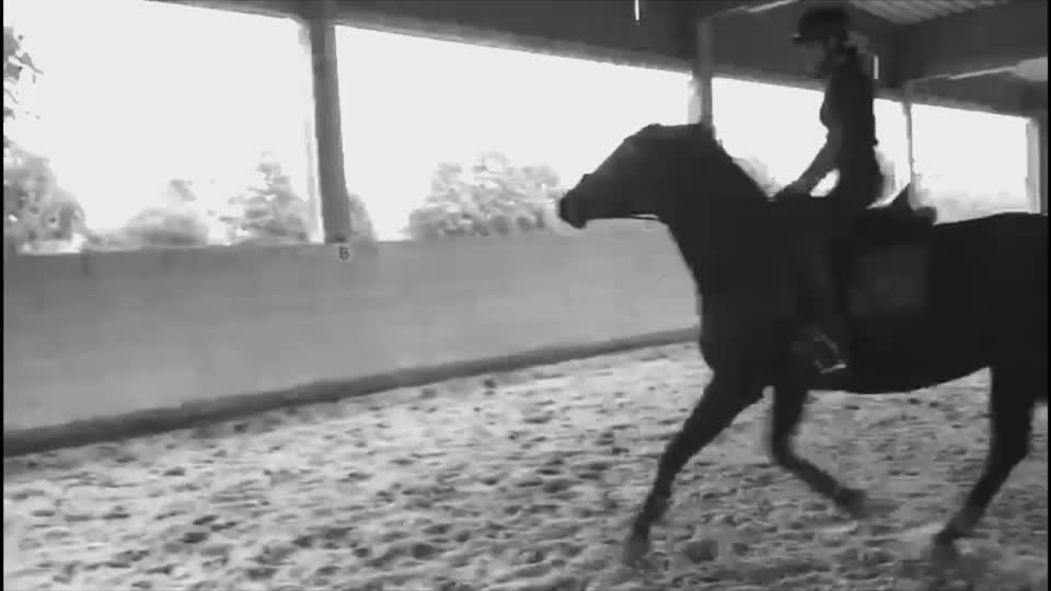 @My.soulhorse❤️🥺✌🏻