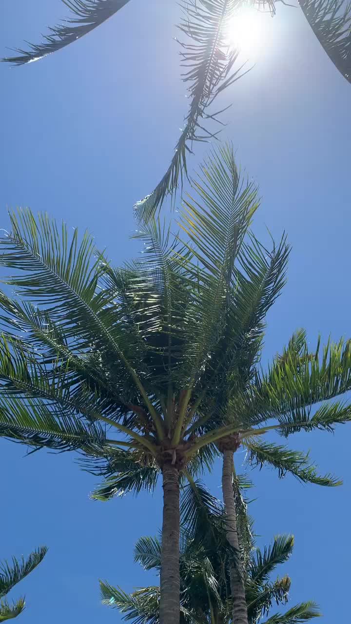 @oceanvibepoolmaint