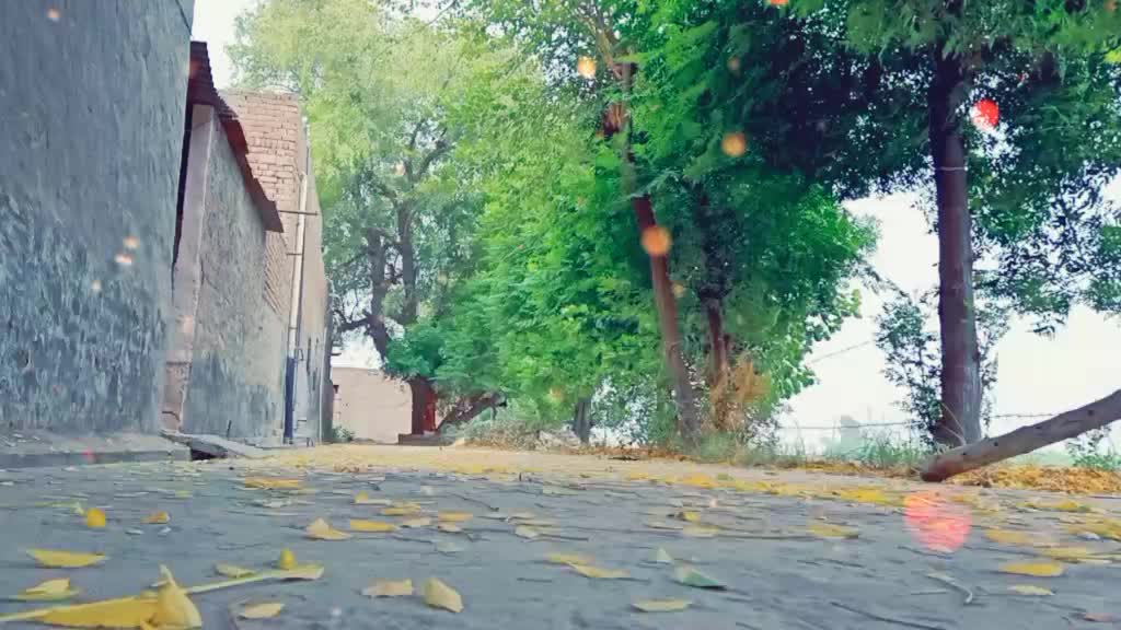 @Ravi Kamboj407